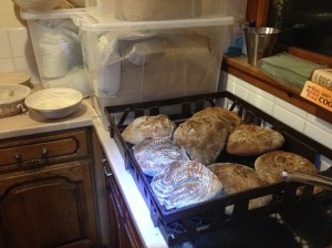 8 Lochaber sourdoughs out the oven