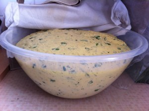 Bulk fermentation completed - looking, wobbling & smelling good