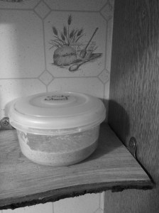 Sourdough culture day zero