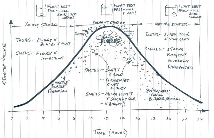 doc01158020150218105444