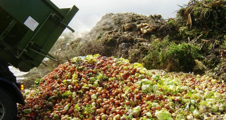 Pilot-scheme-shows-promise-in-repurposing-commercial-food-wastes