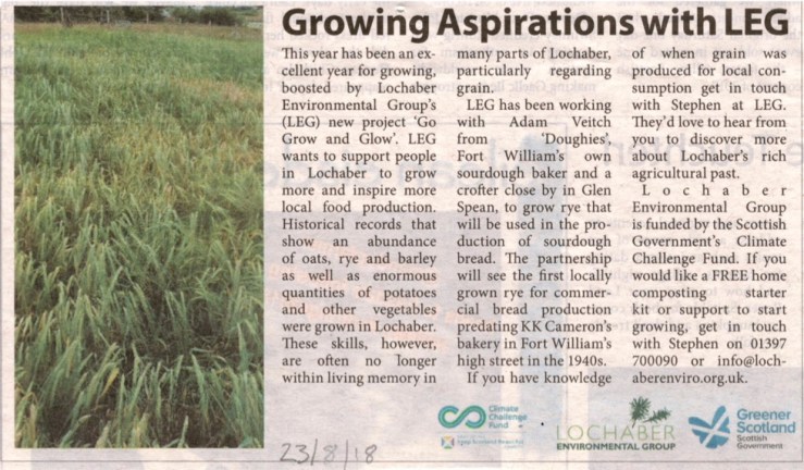 rye growing art for lt 230818